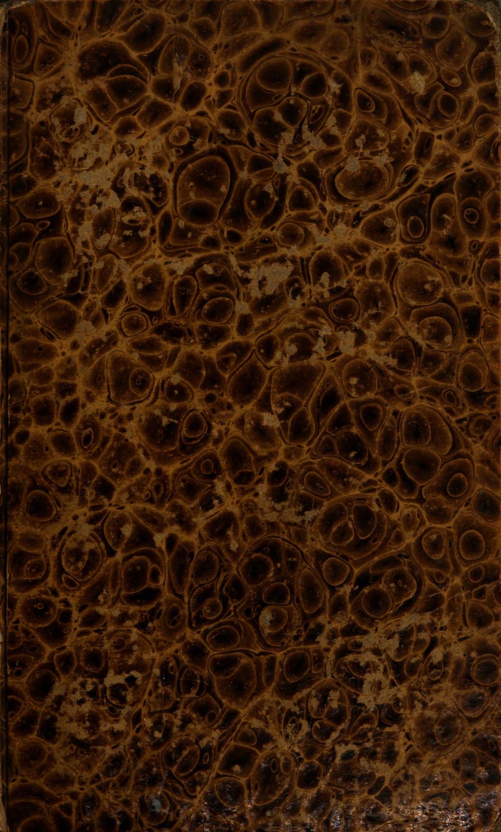 Cover of Der Verkehr zwischen Seele und Leib