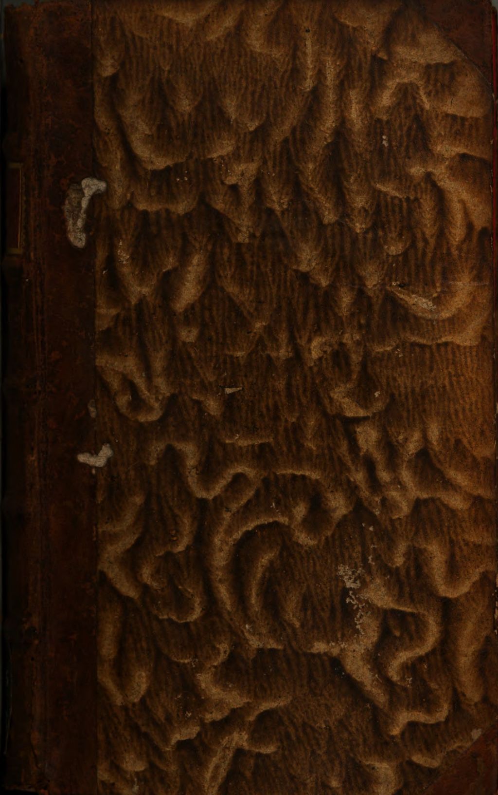 Cover of Fortgesetzte Magie , oder die Zauberkräfte der Natur, so auf den Nutzen und die Belustigung angewandt worden. 1