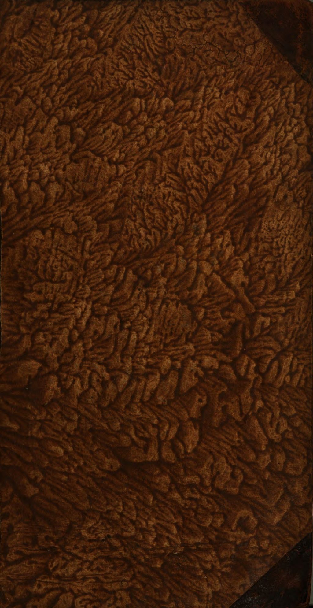 Cover of Fortgesetzte Magie , oder die Zauberkräfte der Natur, so auf den Nutzen und die Belustigung angewandt worden. 3