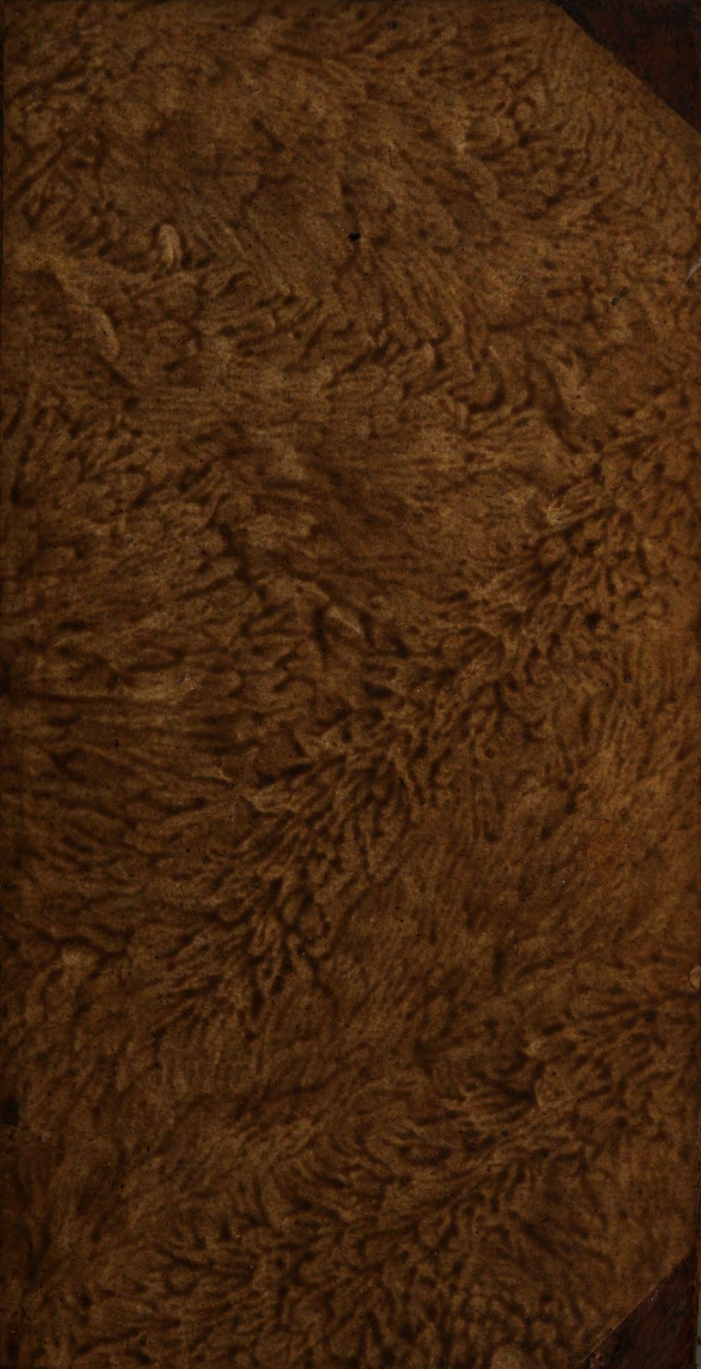 Cover of Fortgesetzte Magie , oder die Zauberkräfte der Natur, so auf den Nutzen und die Belustigung angewandt worden. 4