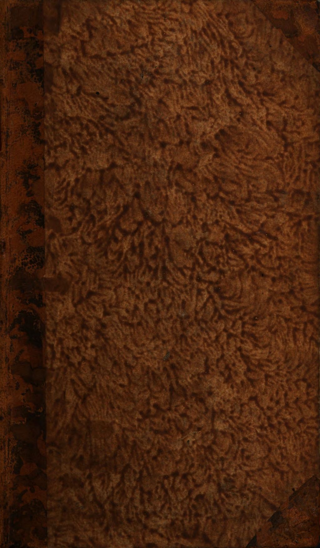 Cover of Fortgesetzte Magie , oder die Zauberkräfte der Natur, so auf den Nutzen und die Belustigung angewandt worden. 11
