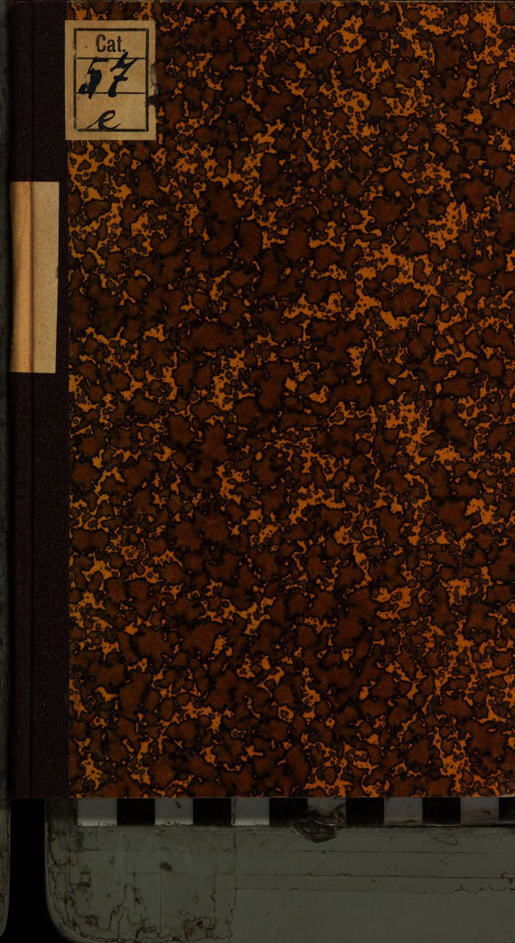 Cover of Alsatica