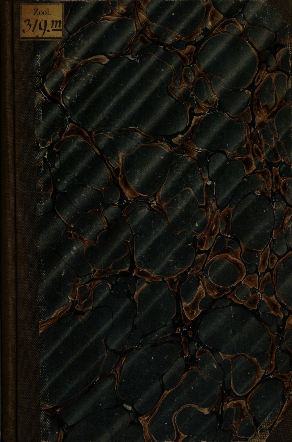 Cover of Architecture des Nids