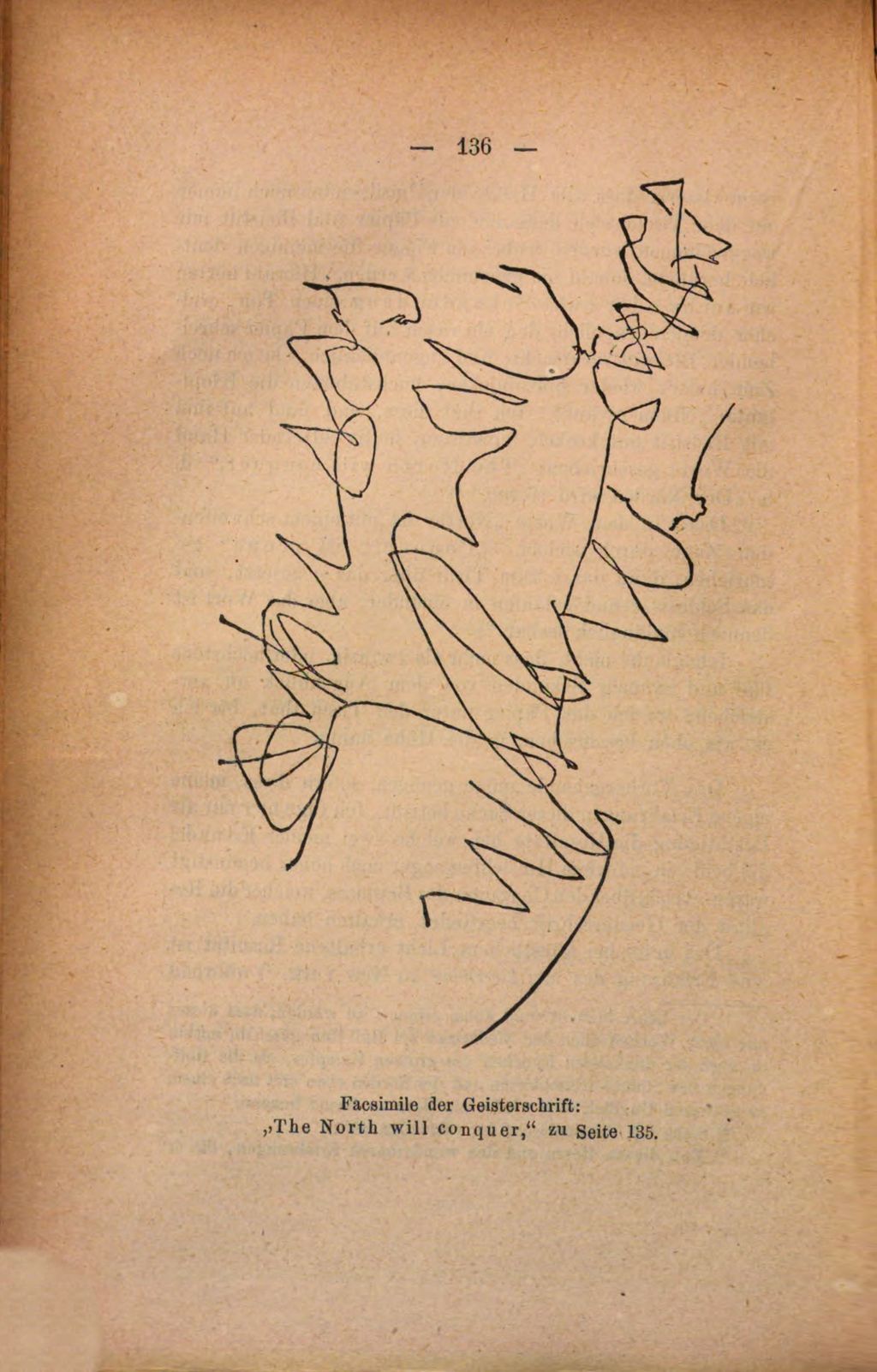 Cover of Das streitige Land