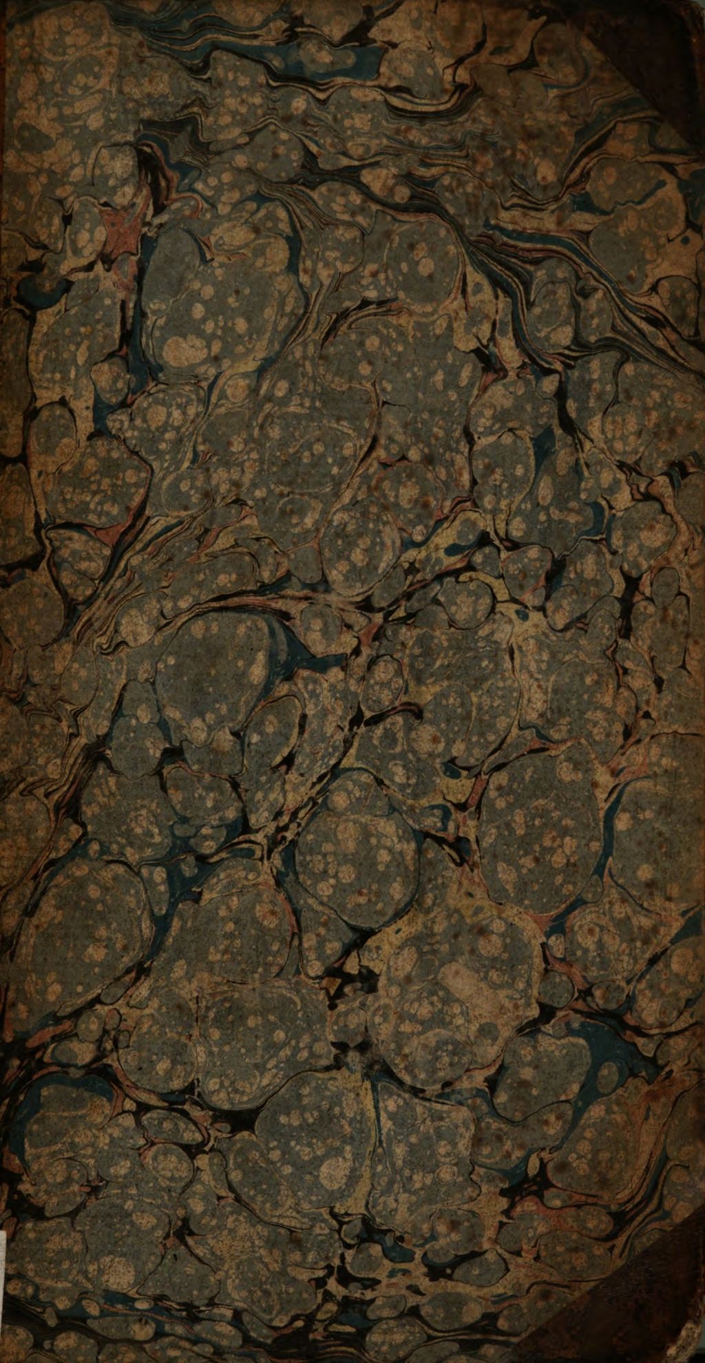Cover of Neues Real-Schullexicon
