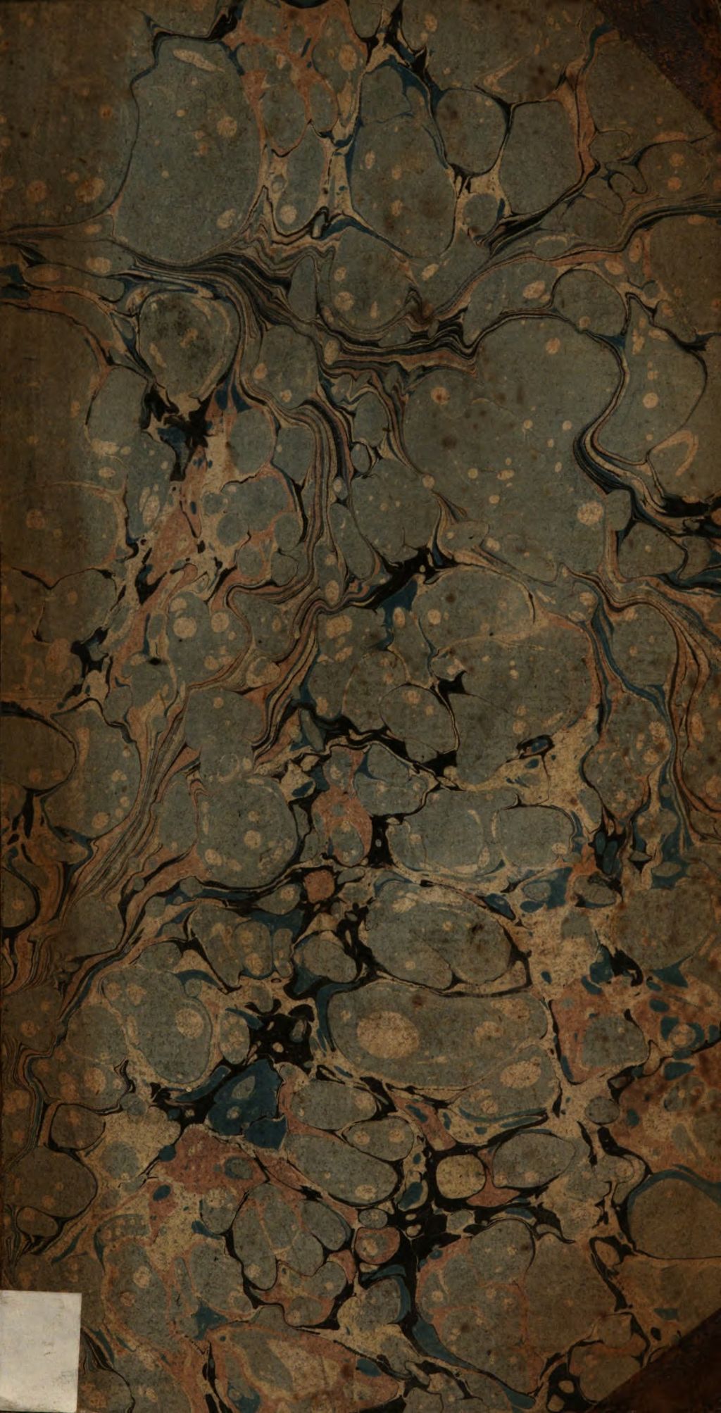 Cover of Neues Real-Schullexicon