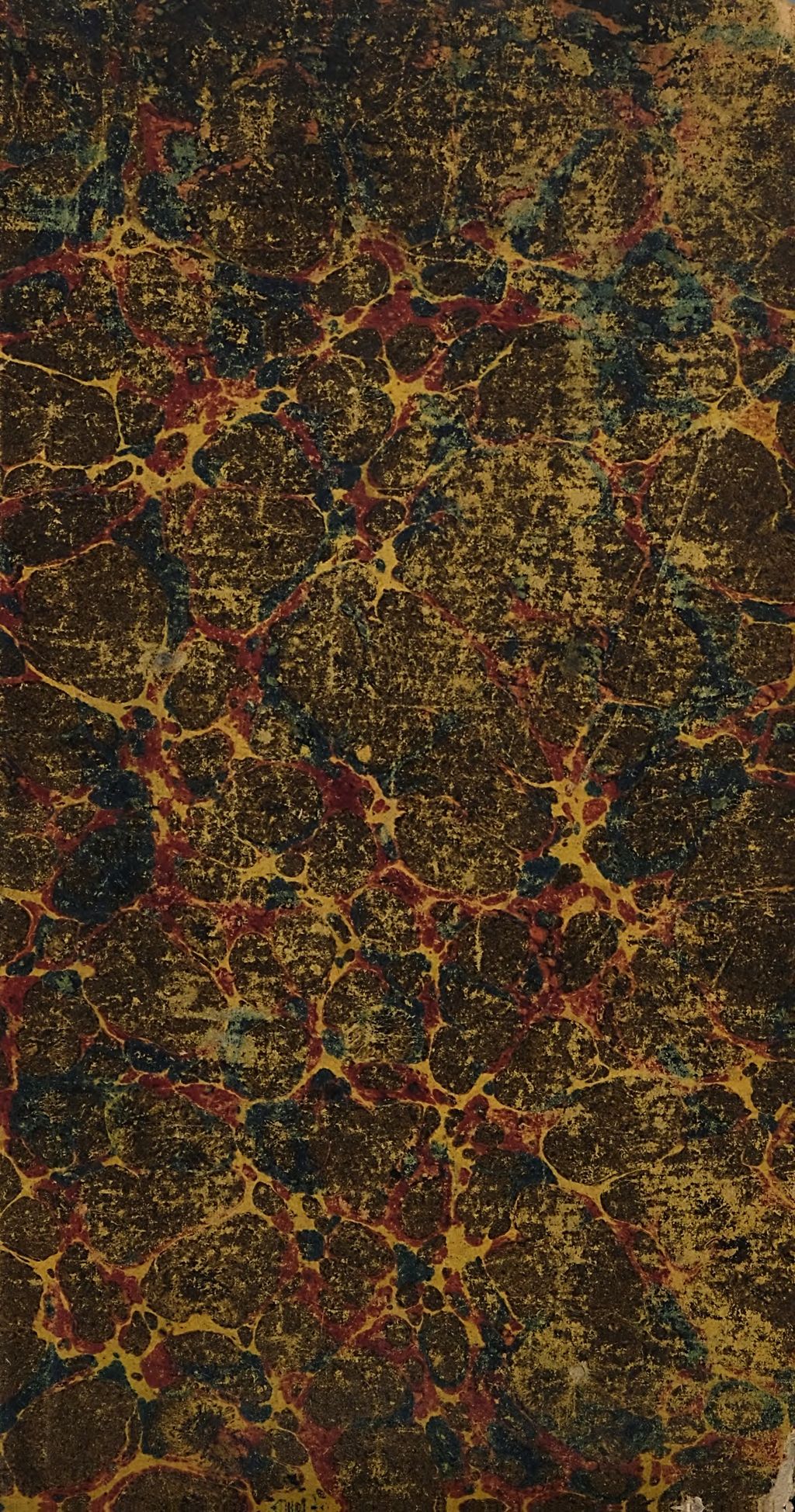 Cover of Ein Ultramontaner jenseits der Berge
