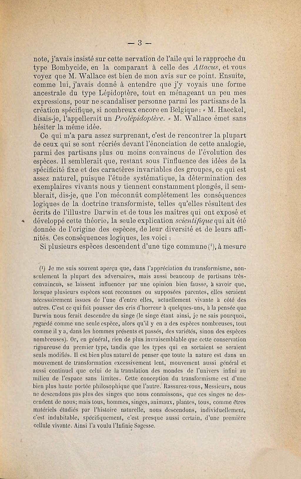 Cover of Note sur le Breyeria borinensis