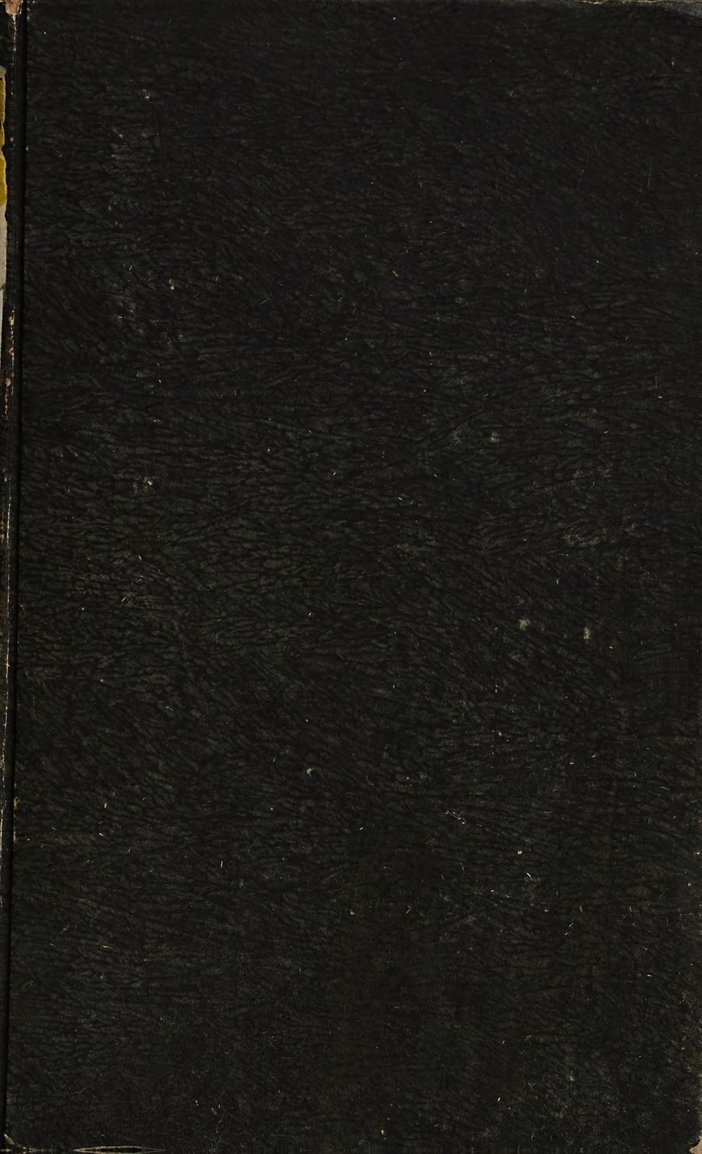 Cover of Flora mythologica oder Pflanzenkunde in Bezug auf Mythologie und Symbolik der Griechen und Römer