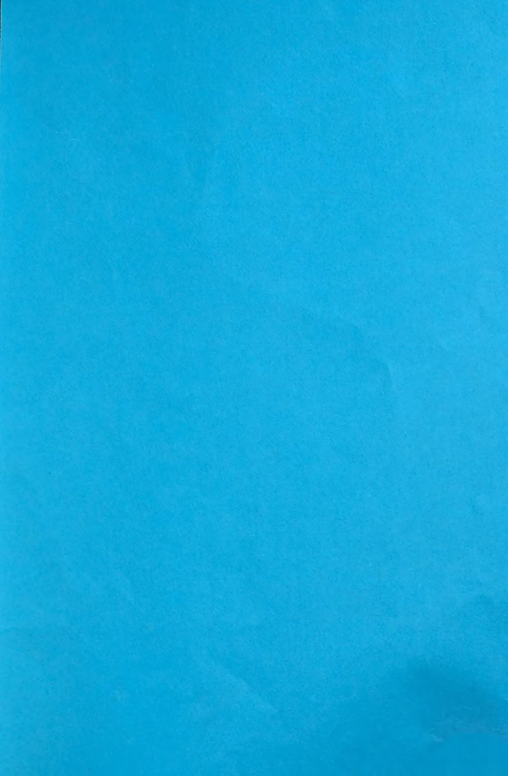 Cover of Die Zeit Karls V. im Lichte der politischen Volksdichtung