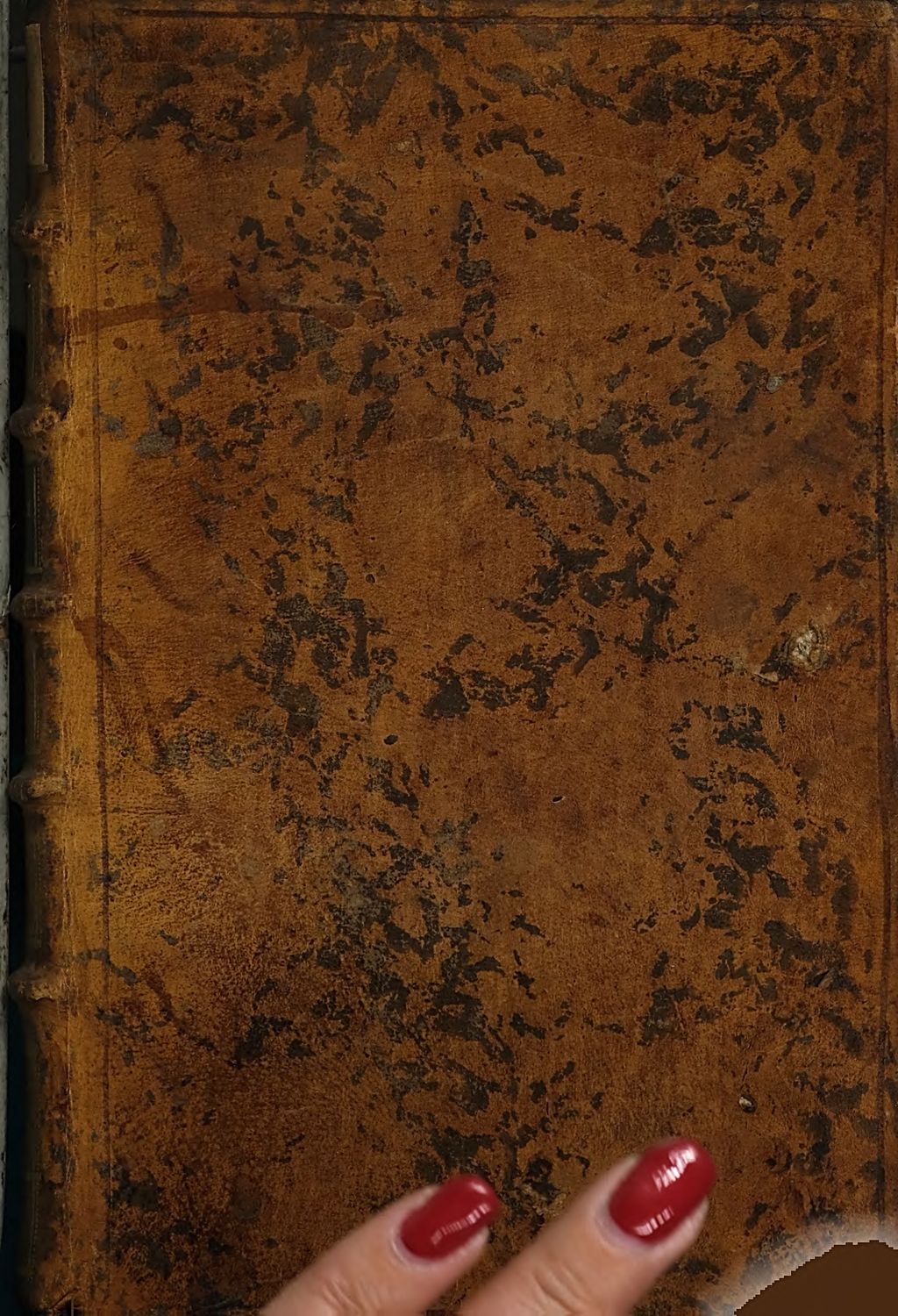 Cover of Fabulae , narrationes et aliae amplificationes Caroli Lebeau
