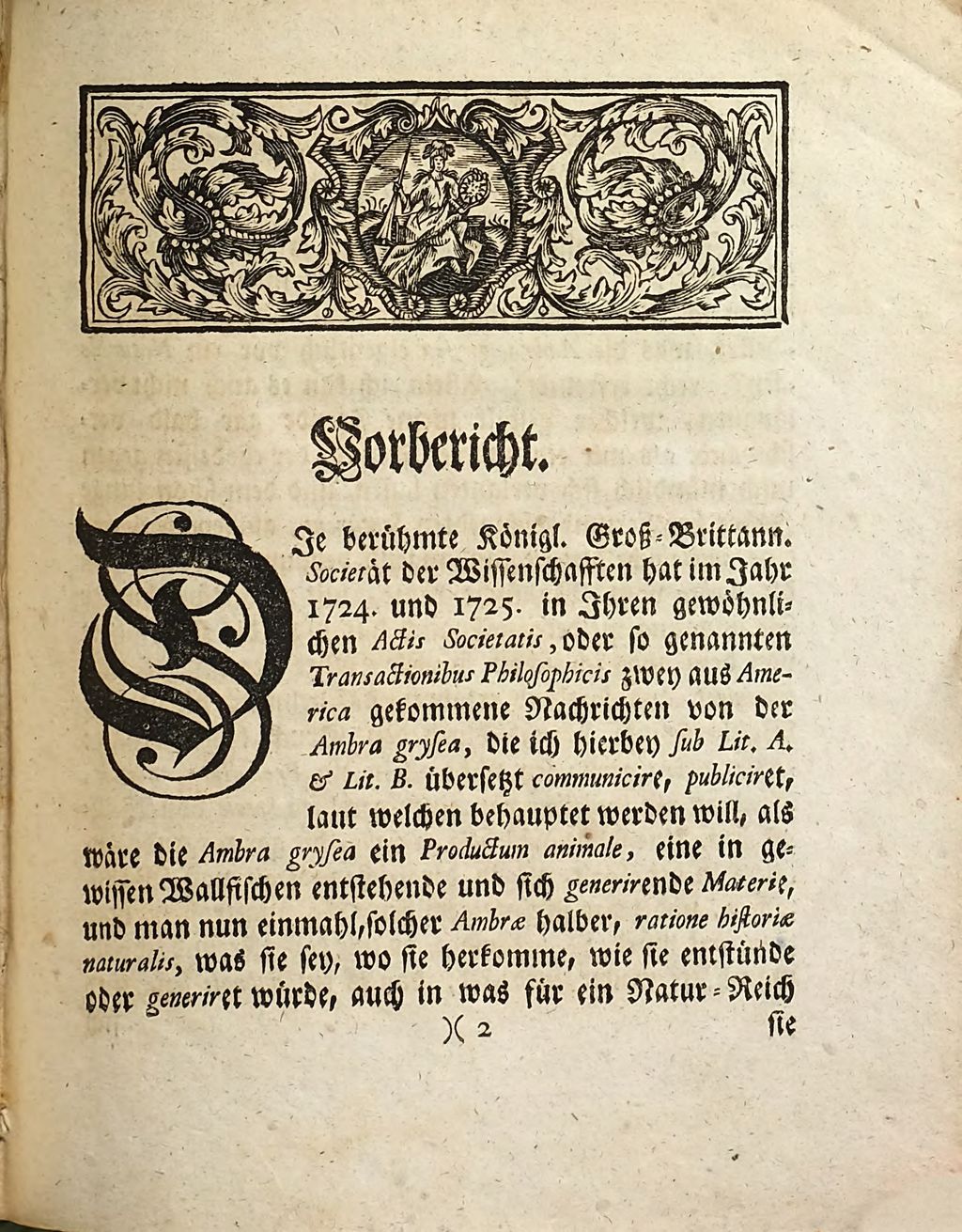 Cover of Disquisitio De Ambra Grysea