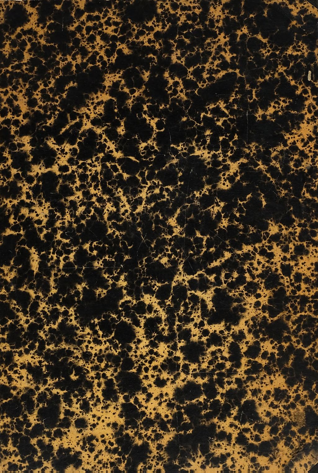 Cover of Rituale Romano-Eystettense