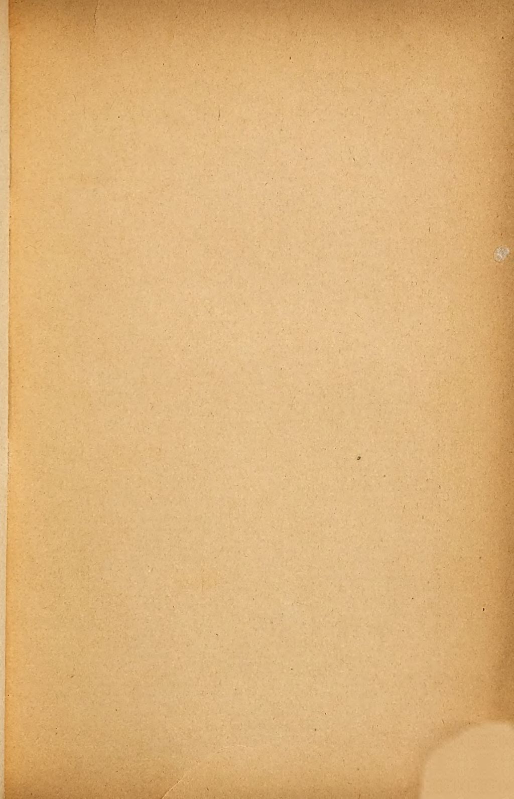 Cover of Reinkarnation oder Wiederverkörperungslehre