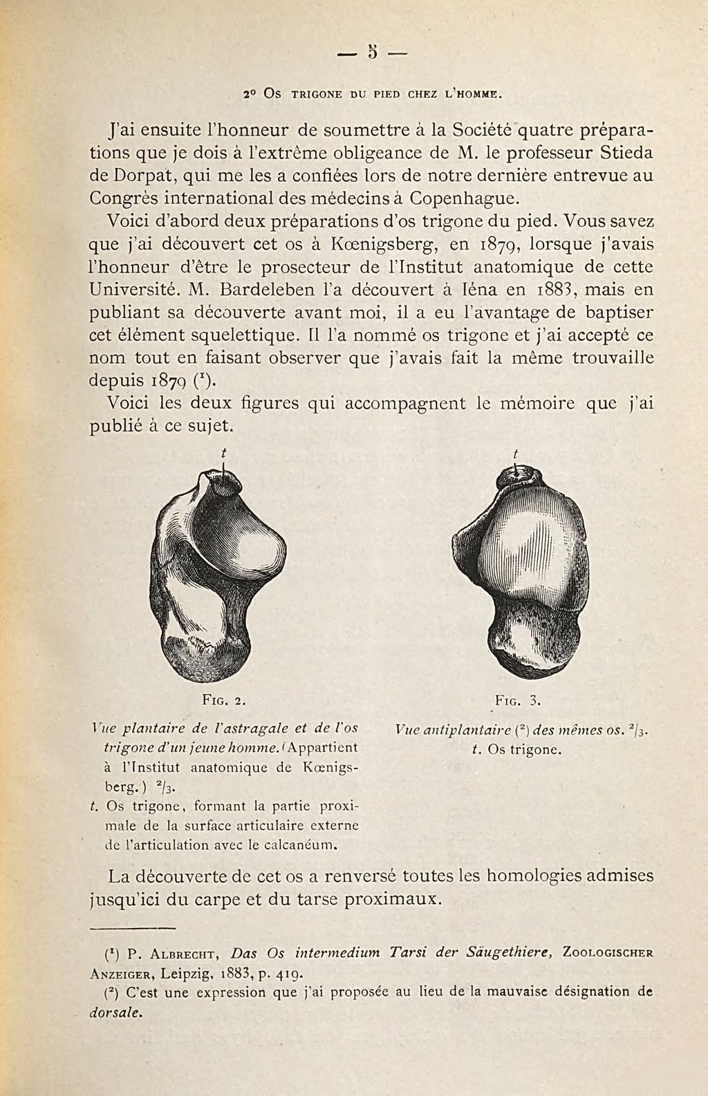 Cover of Épiphyses entre l'occipital et le sphénoĩde chez l'homme