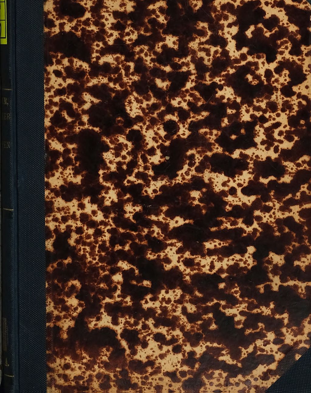 Cover of Die Gletscher der Ostalpen