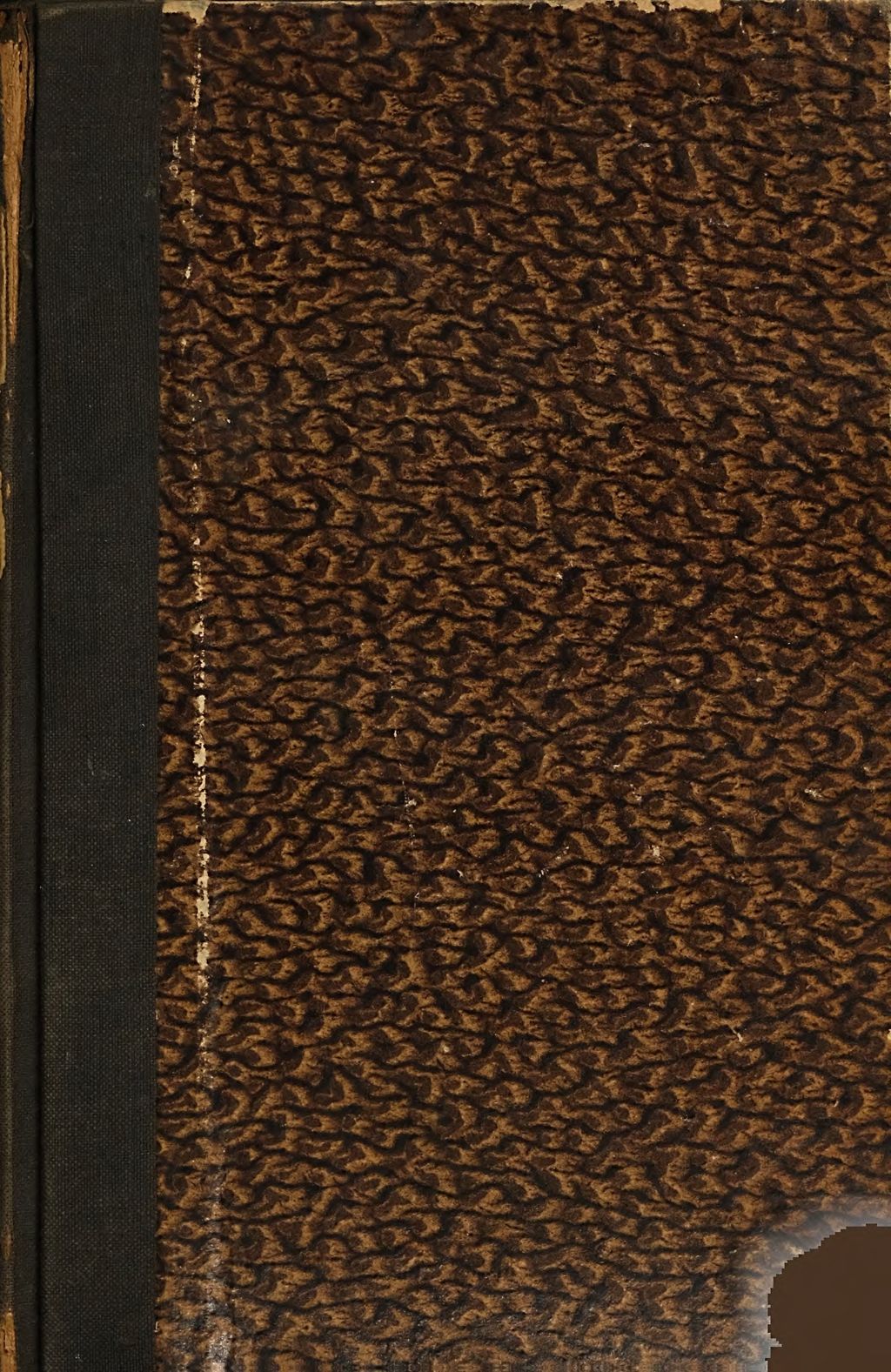Cover of Rituale Monaco-Frisingense
