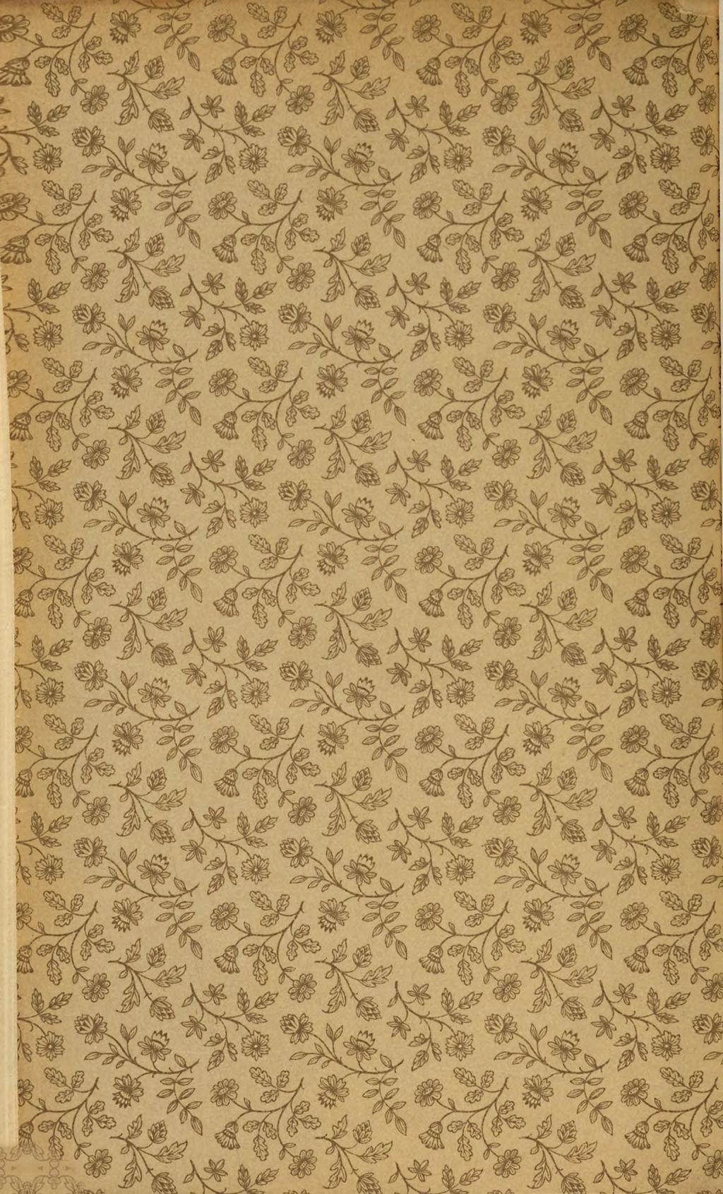 Cover of Paracelsus -Forschungen. 2, Handschriftliche Documente zur Lebensgeschichte Theophrasts von Hohenheim