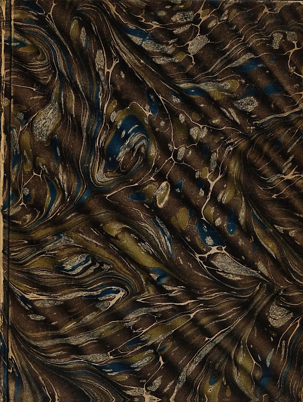 Cover of Die Zukunfts-Philosophie des Paracelsus als Grundlage einer Reformation für Medicin und Naturwissenschaften