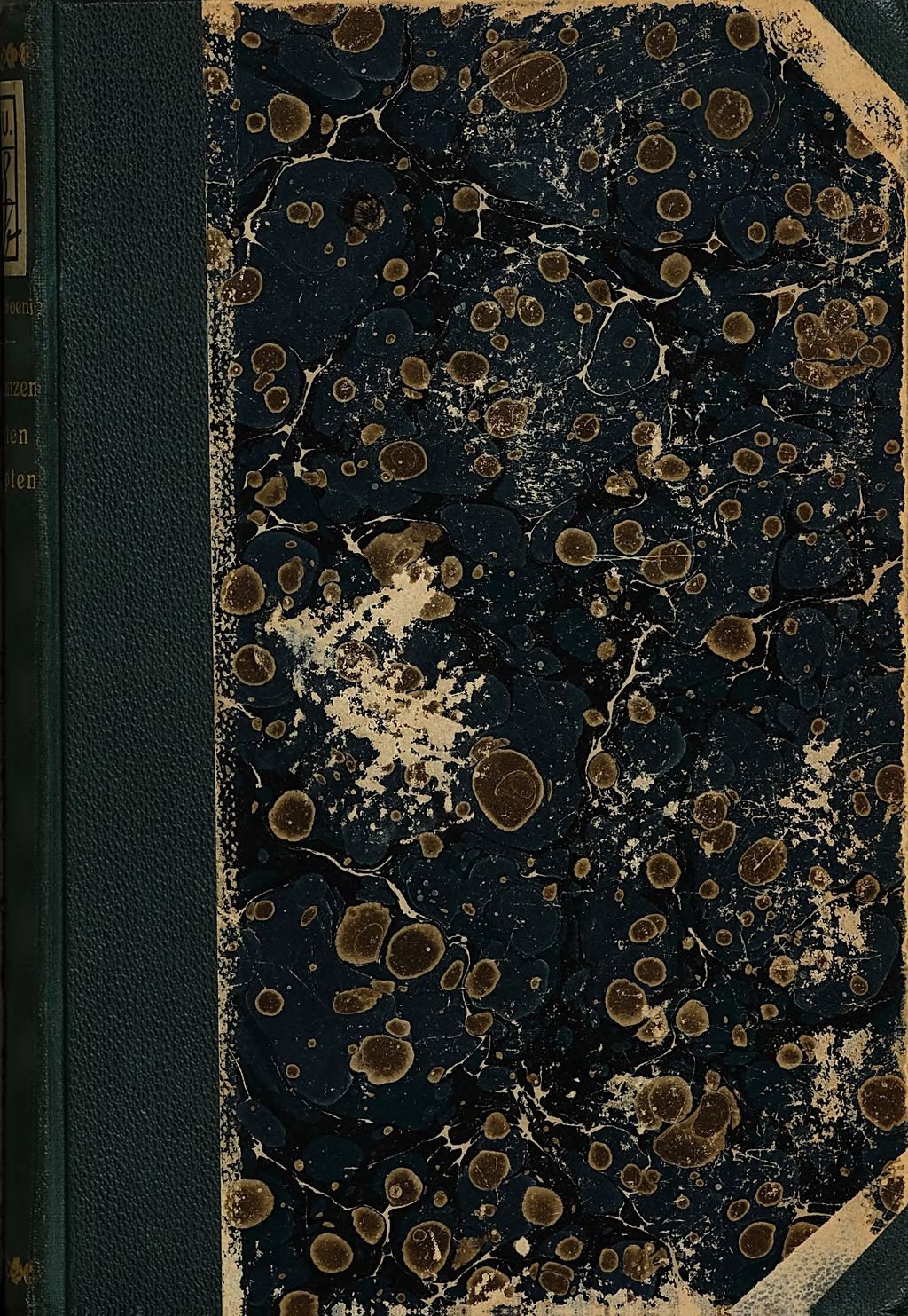 Cover of Die Pflanzen im alten Aegypten