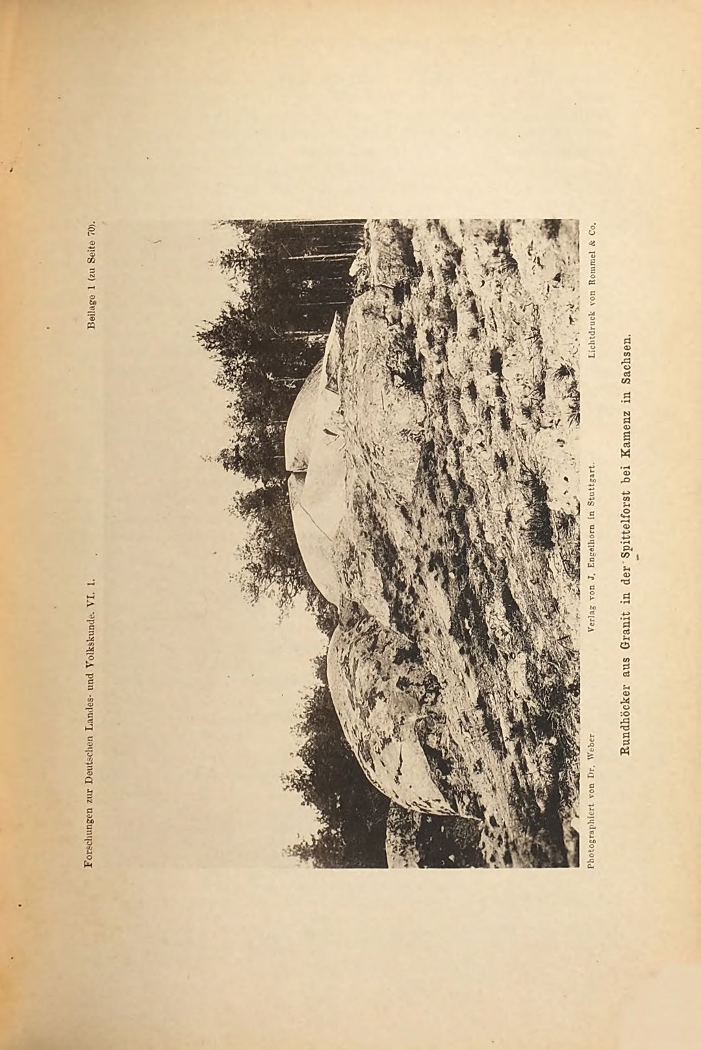 Cover of Die Ursachen der Oberflächengestaltung des norddeutschen Flachlandes