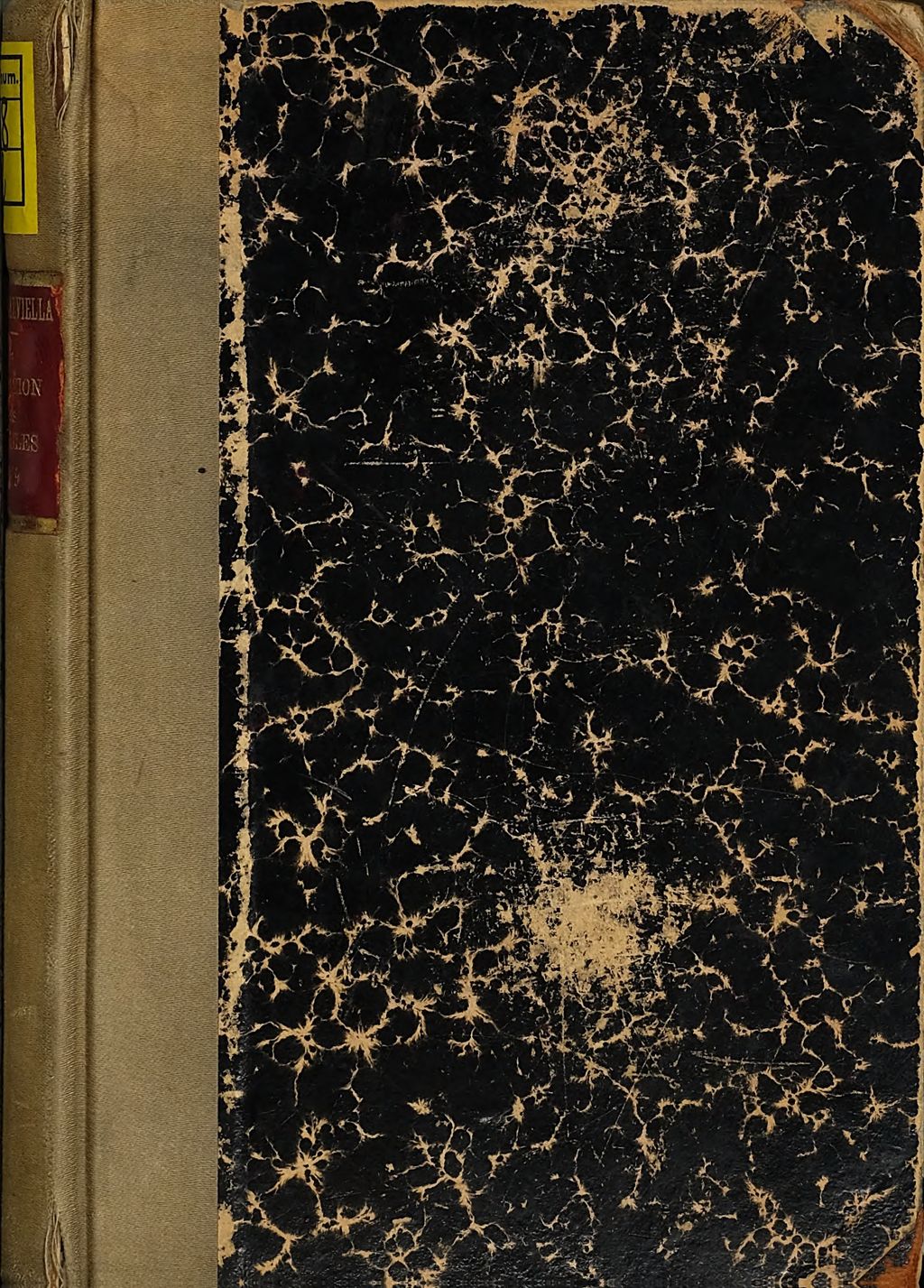 Cover of La migration des symboles