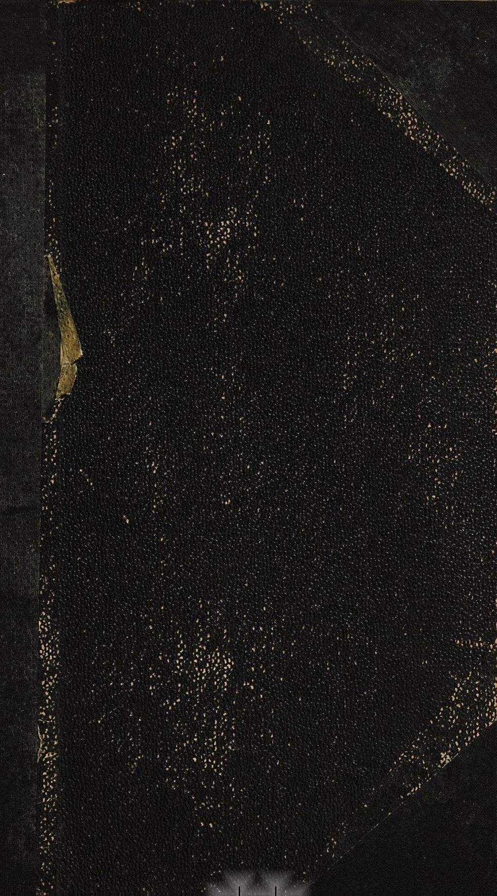 Cover of Tod und ewiges Leben im Deutschen Volksglauben