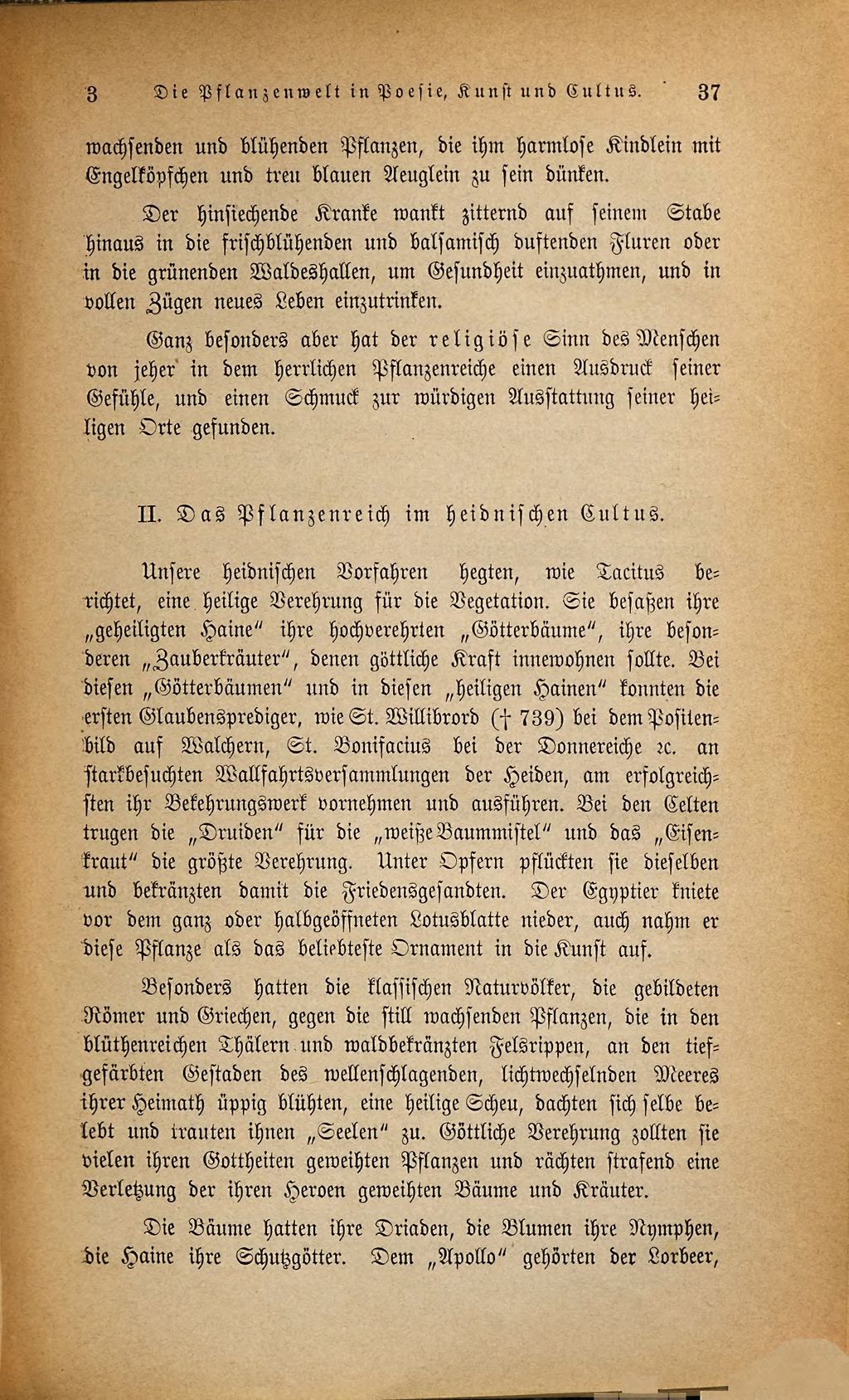 Cover of Die Pflanzenwelt in Poesie, Kunst und Cultus