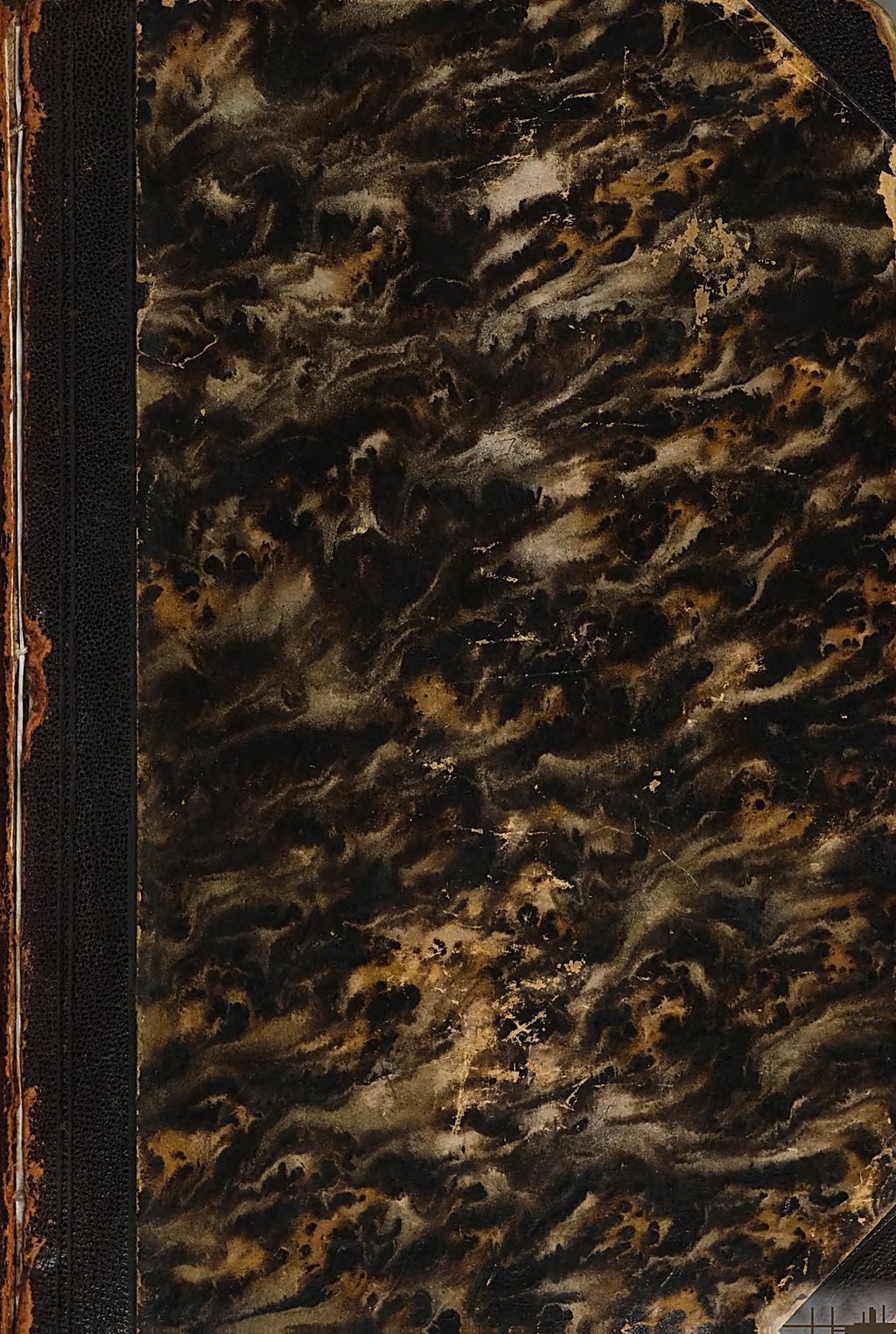 Cover of Essays und Studien zur Sprachgeschichte und Volkskunde . 2. Band