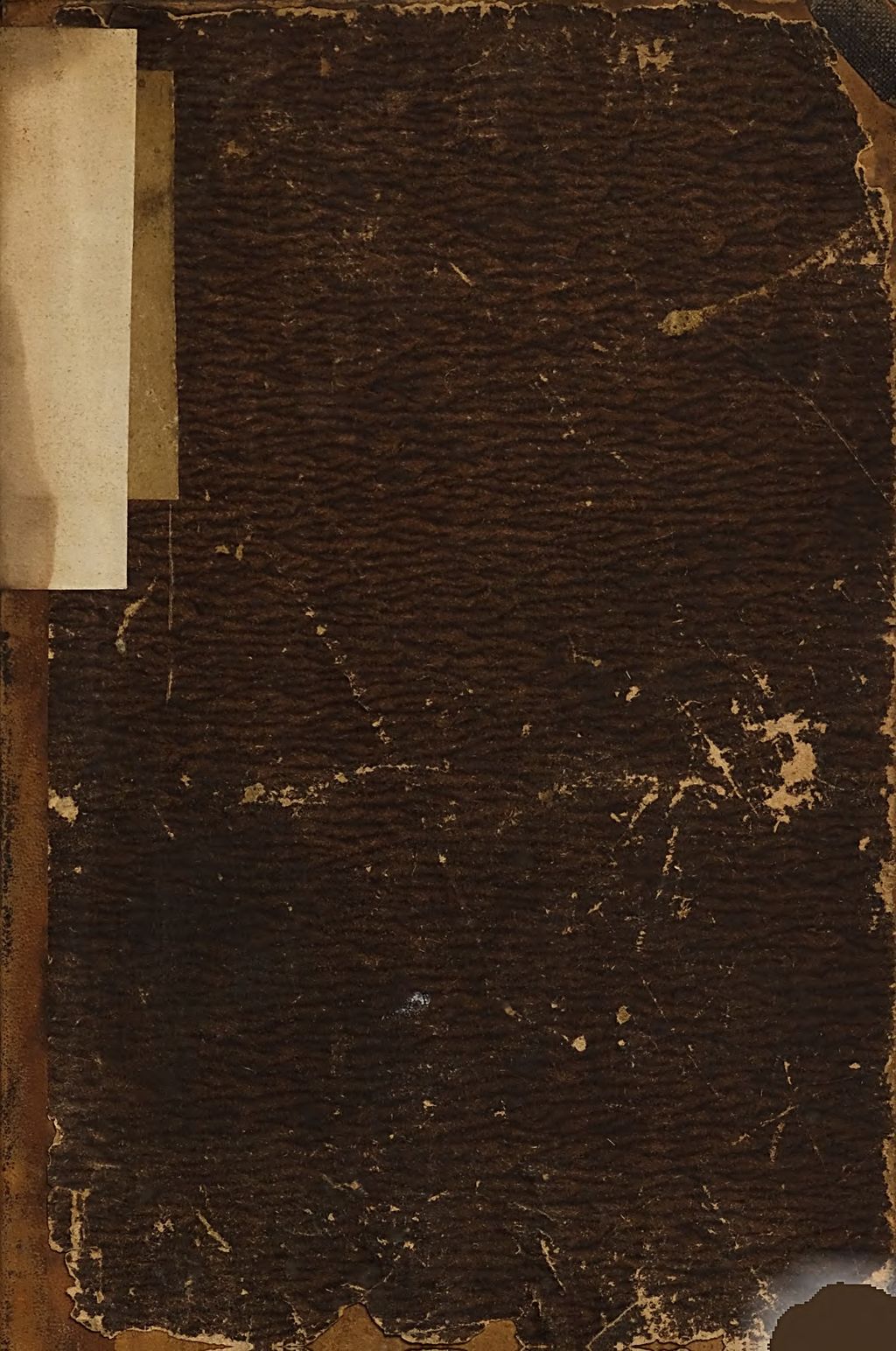 Cover of Meine Raritätenbude