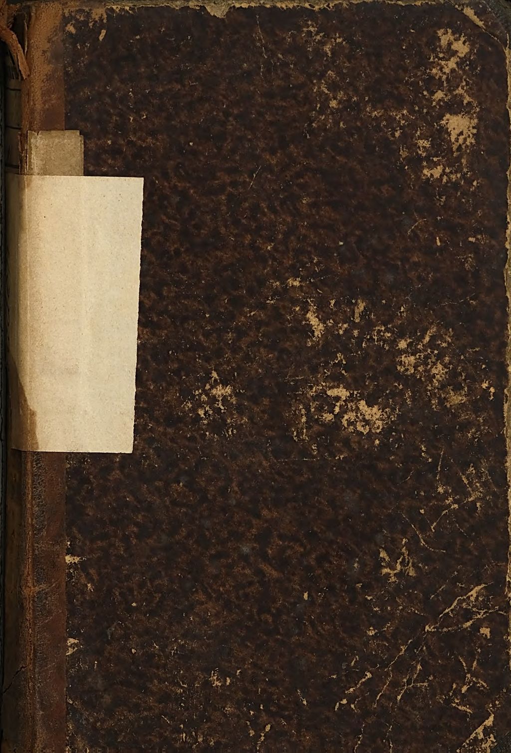 Cover of Unter den Olivenbäumen