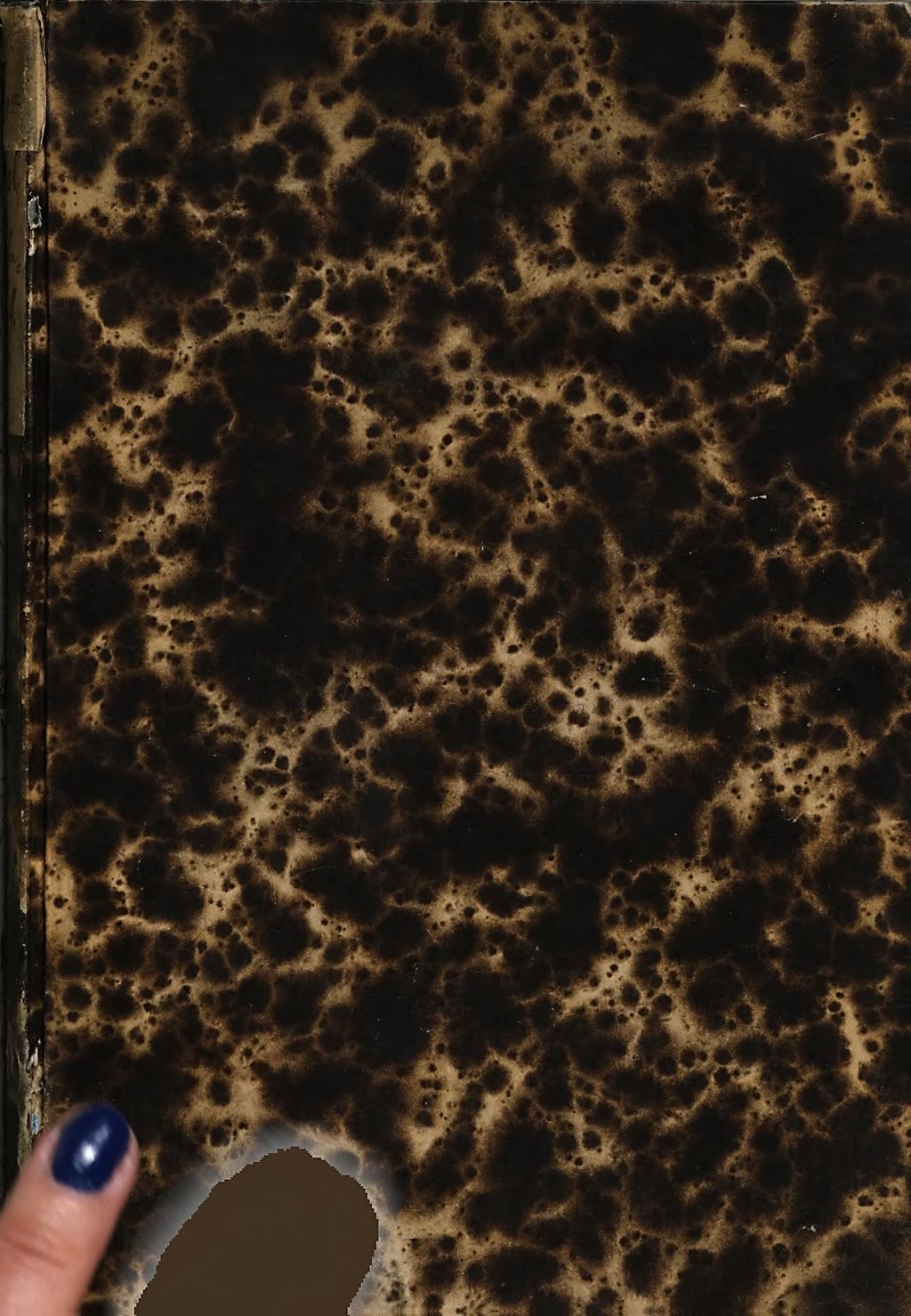 Cover of Das Notariat