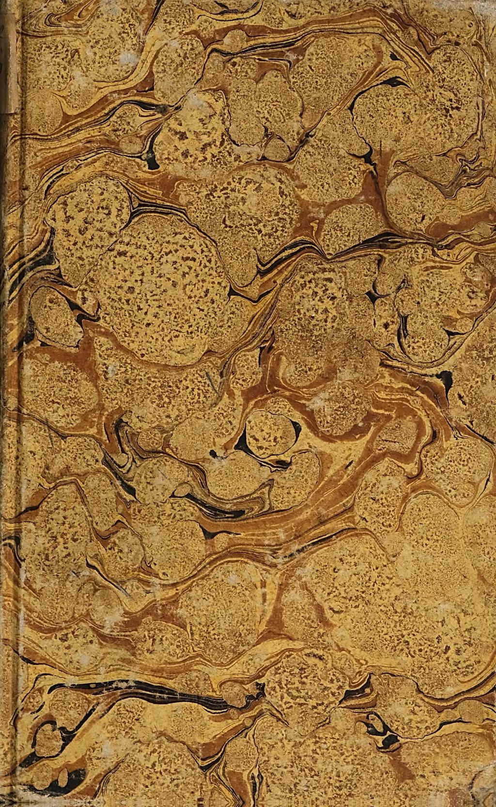 Cover of Das Orakel