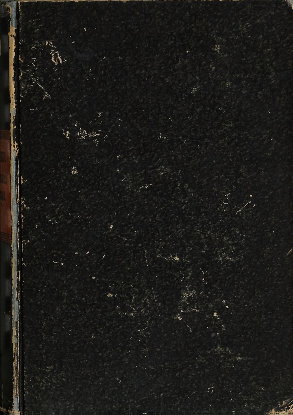 Cover of Wiederum christlicher Kirchenbau