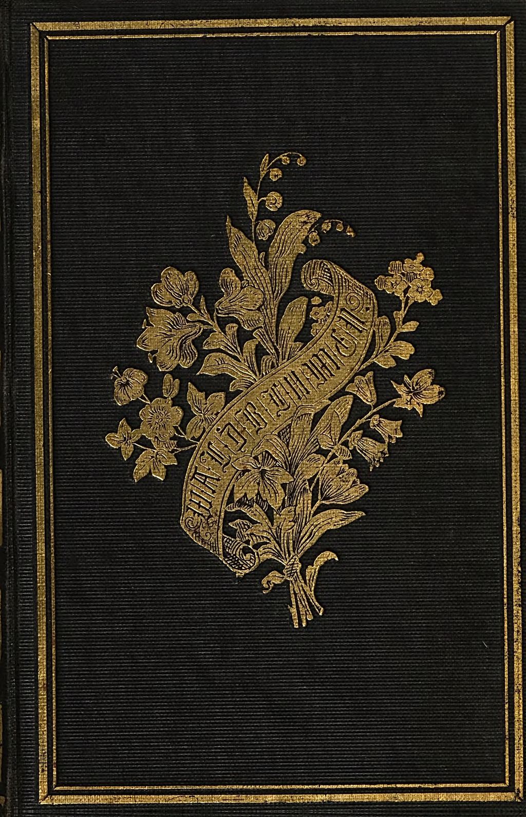 Cover of Waldblumen aus dem finstern Walde
