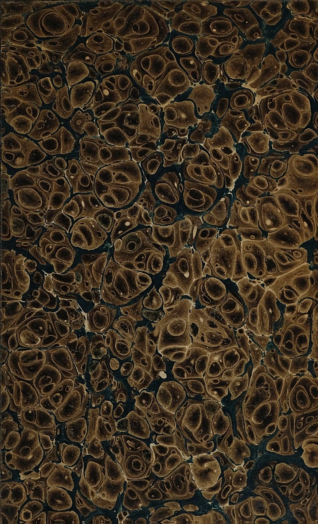Cover of Germanici Caesaris Aratea