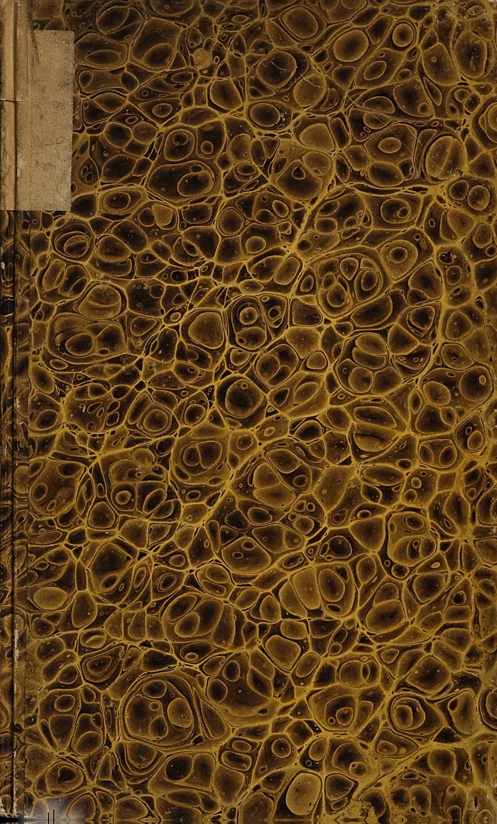 Cover of Des Marcus Manilius Himmelskugel