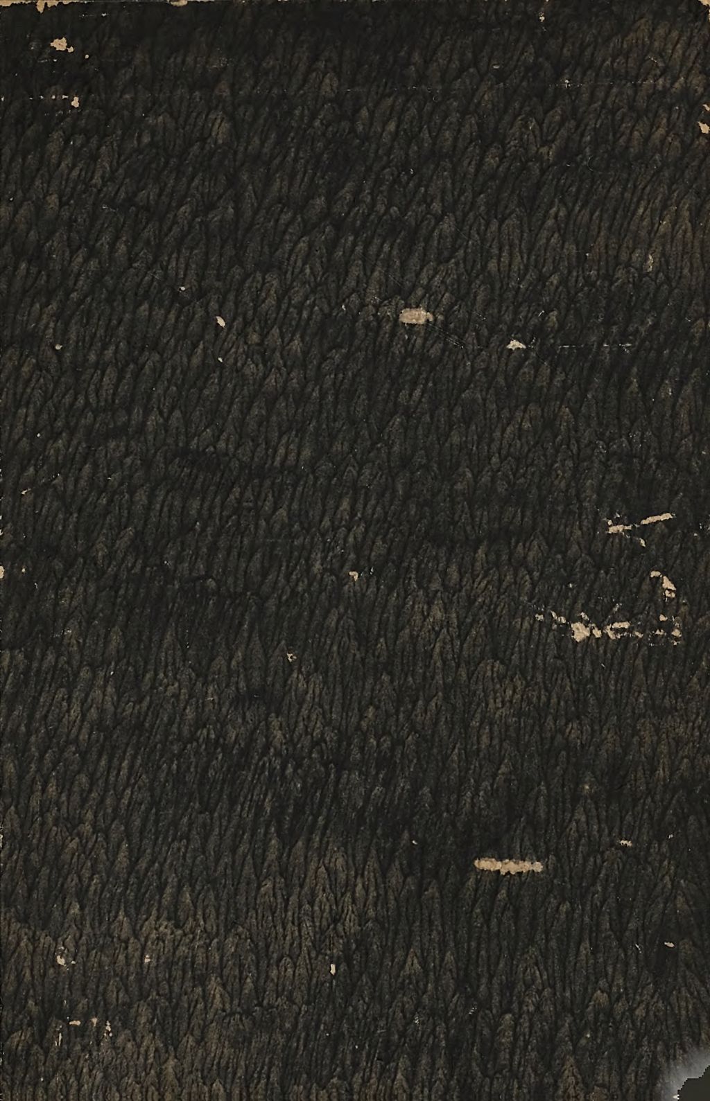 Cover of Kranken- Physiognomik