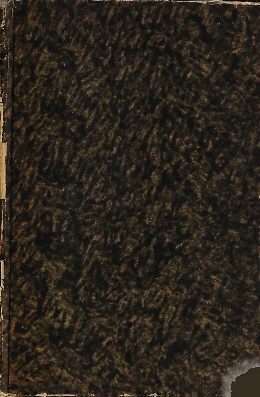 Cover of Die Hexenprozesse und ihre Gegner aus Tirol
