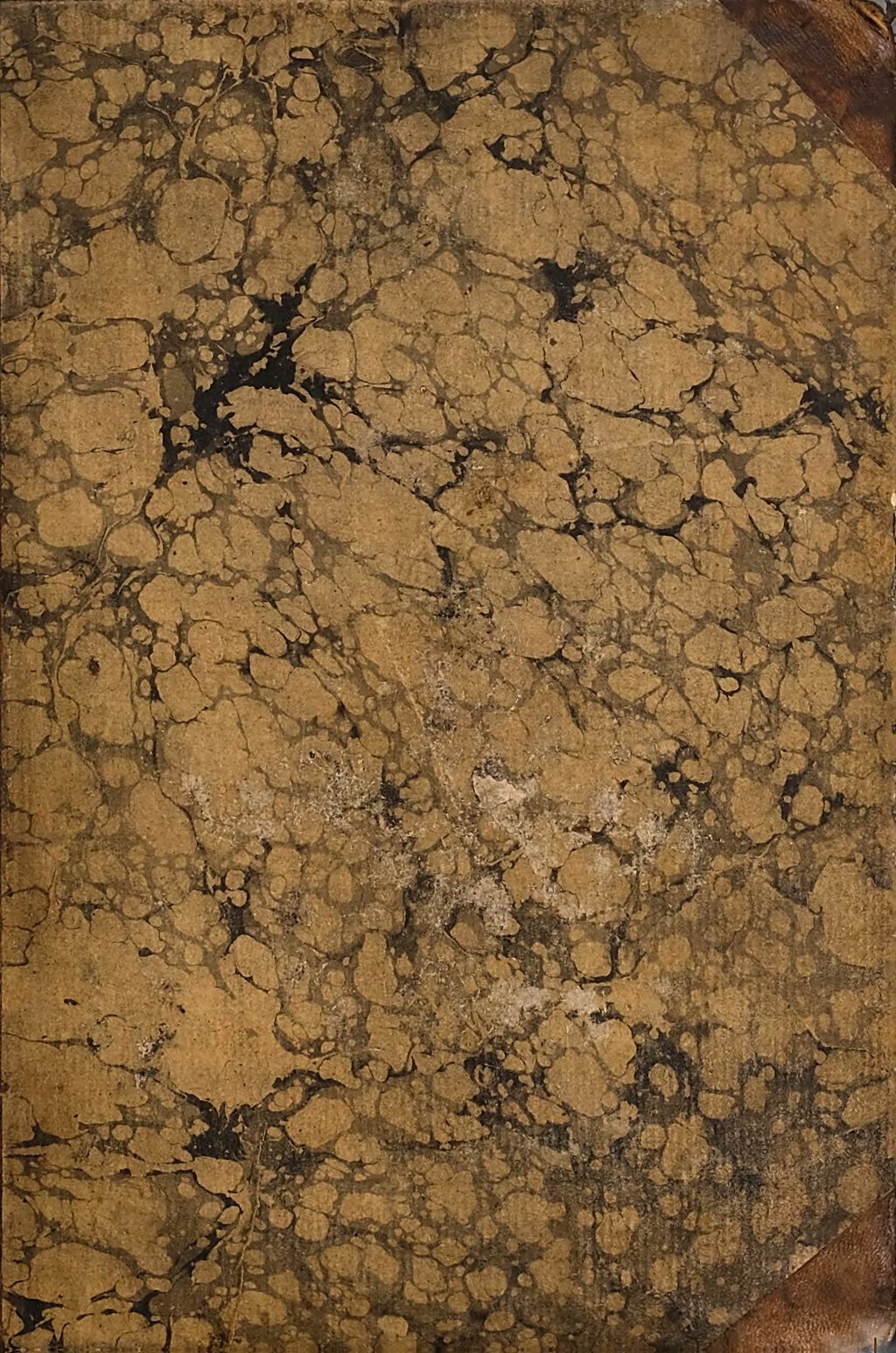 Cover of Thomae Erpenii Grammatica Arabica