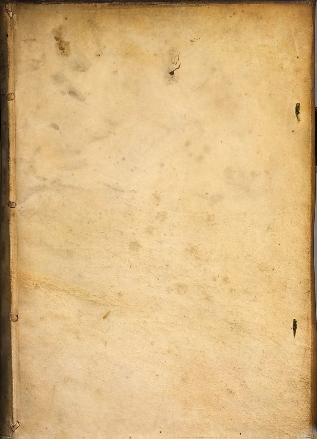 Cover of Iani Gvlielmi F. Laurenbergi Antiqvarivs
