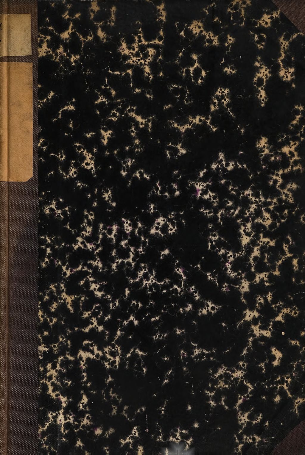 Cover of Die Entdeckung des Hypnotismus