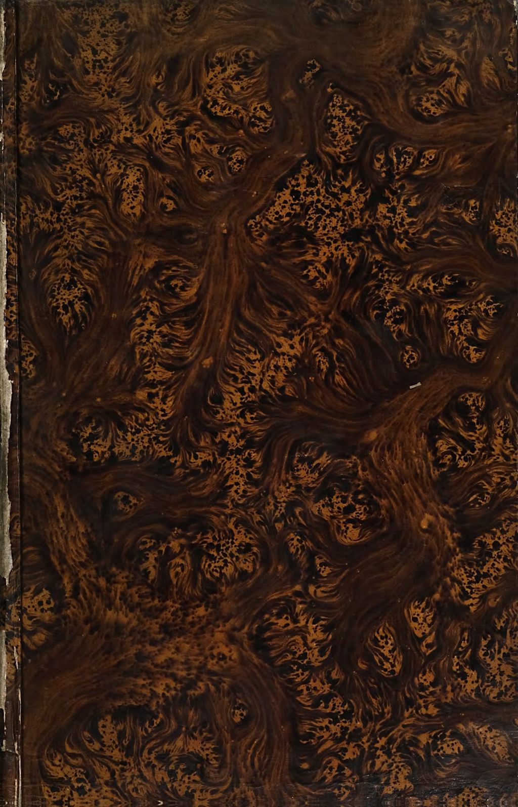 Cover of Das Buch Daniel
