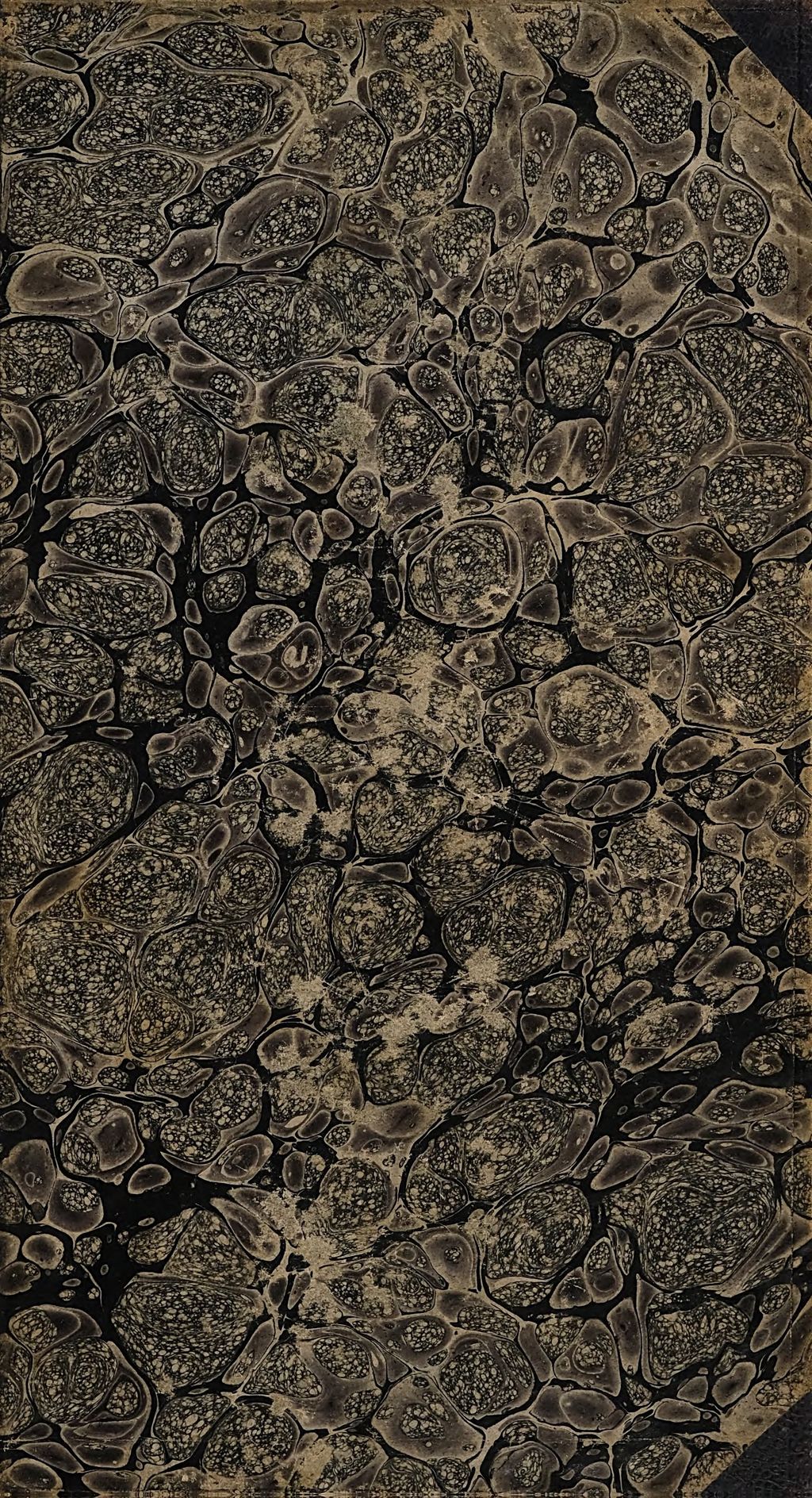Cover of Liturgik oder wissenschaftliche Darstellung des katholischen Cultus . 2