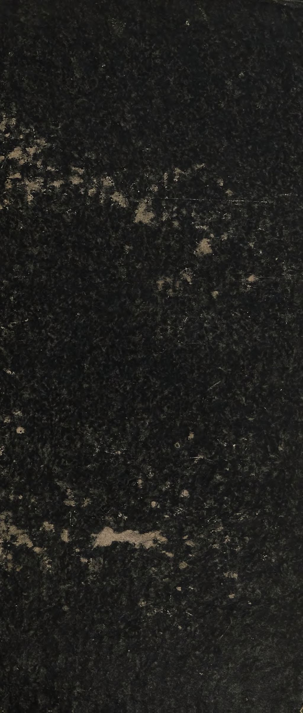 Cover of Liturgik der christkatholischen Religion. 3, Kultus der christkatholischen Kirche