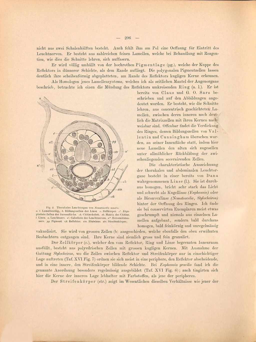 Cover of Atlantis