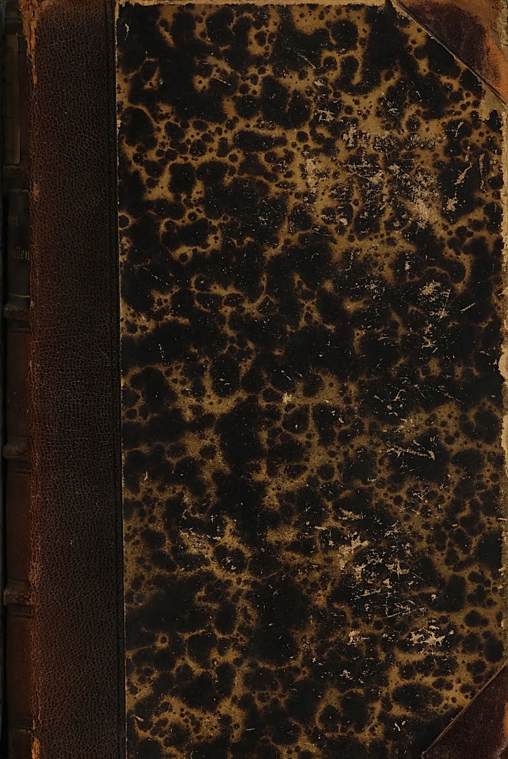 Cover of Frauen-Novellen