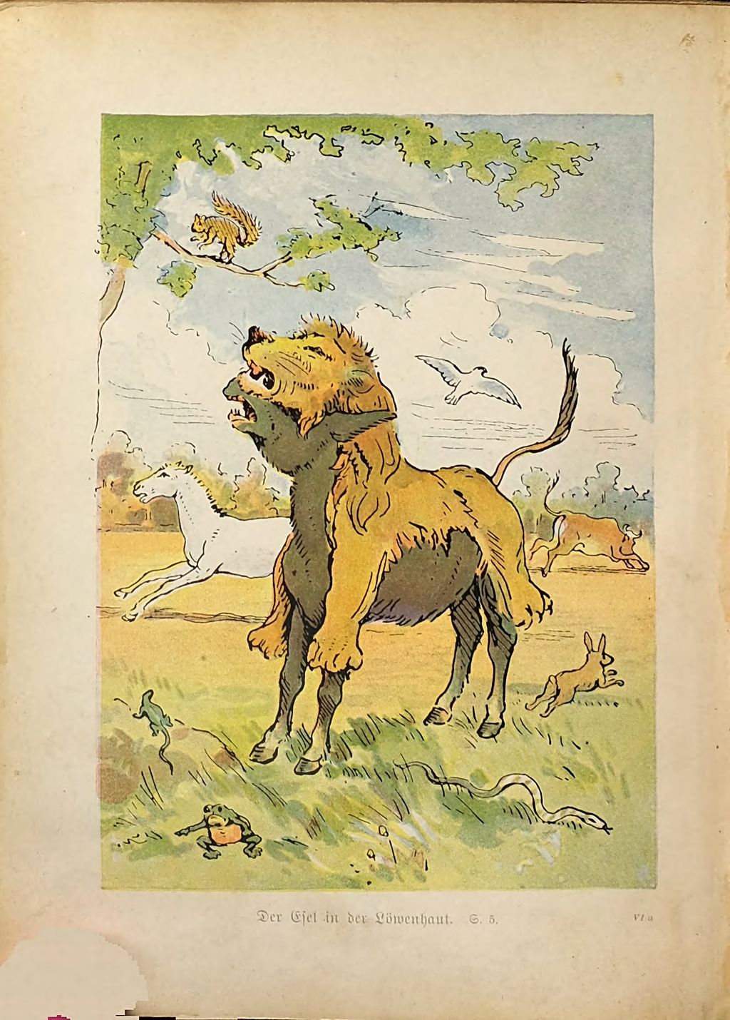Cover of Aesops Fabeln