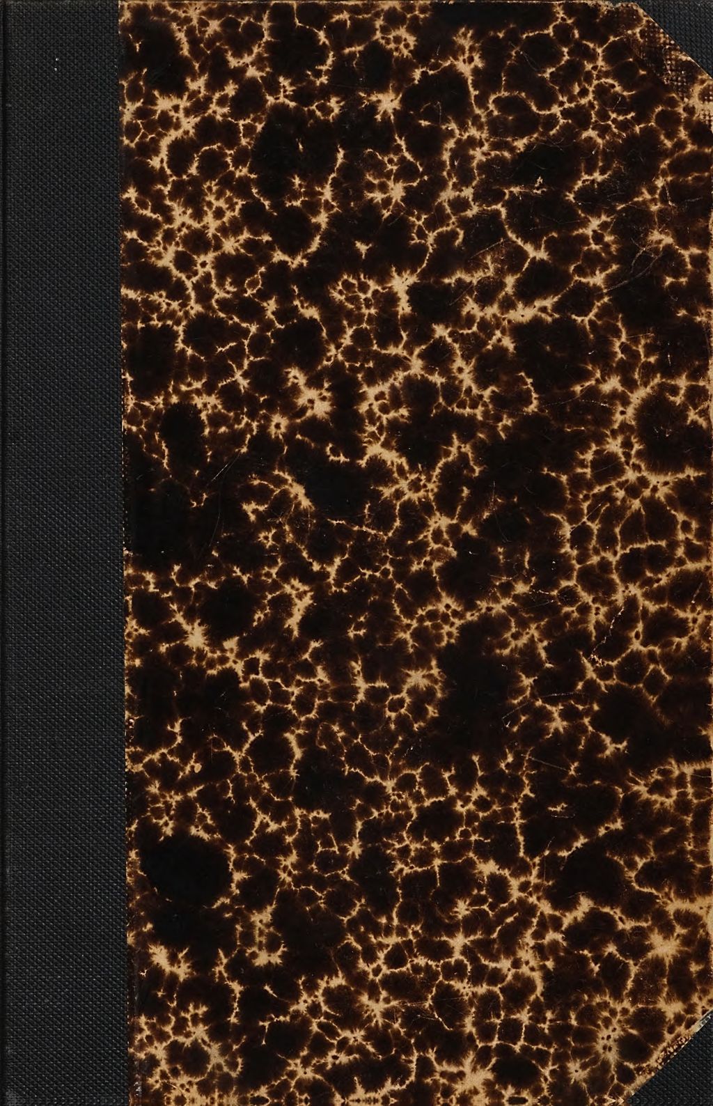 Cover of Die Wiedergeburt des Menschen