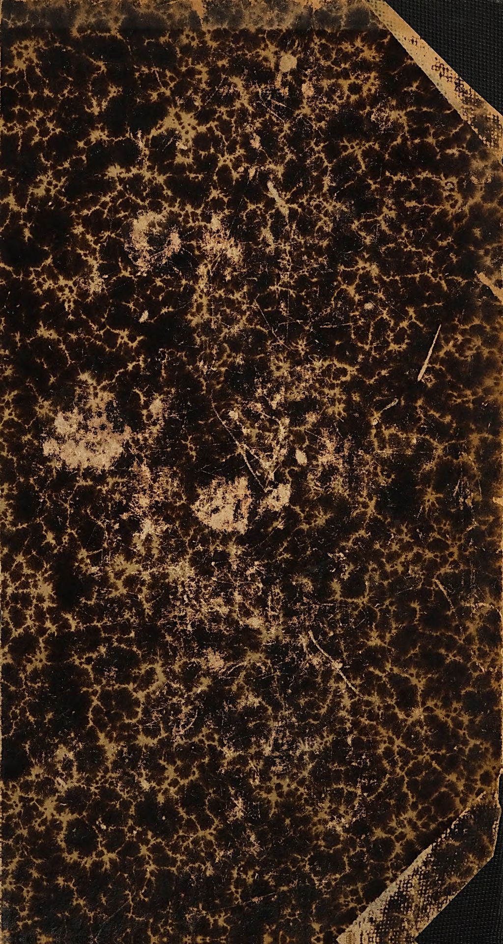 Cover of Die Schutzgeister und eine vergleichende Übersicht der Erscheinungen des Lebensmagnetismus